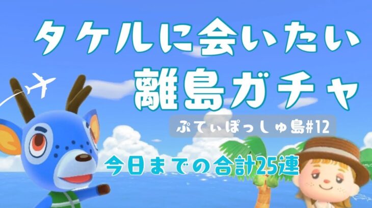 【あつ森】マイル不足で5回だけの離島ガチャ。お招きしたのは可愛いあの子でした＊ぷてぃぽっしゅ島生活#12【あつまれどうぶつの森】