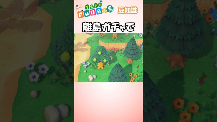 【あつ森】豆知識　記憶#あつまれどうぶつの森 #ゲーム #nintendoswitch #ACNH #Animal Crossing #shorts  #さよなら #オフコース  #離島ガチャ