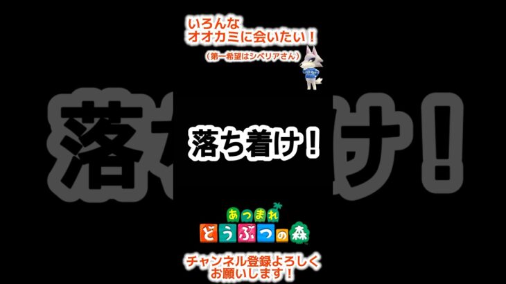 【あつ森】住民離島ガチャでたくさんのオオカミ系に会いたかった。（あつまれどうぶつの森）#shorts #あつ森 #あつまれどうぶつの森