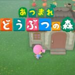 【あつまれどうぶつの森】ハピパラやりたくなった