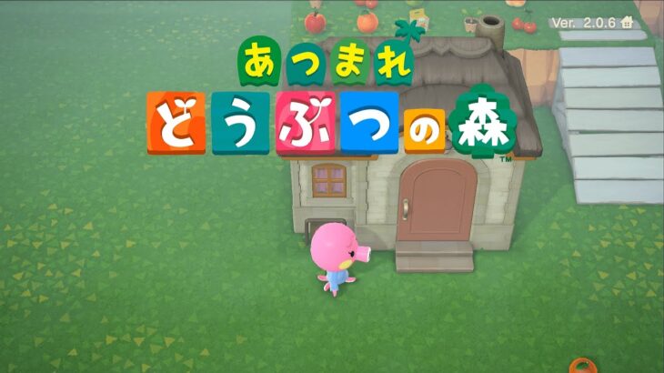 【あつまれどうぶつの森】ハピパラやりたくなった