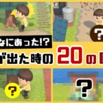 【あつ森】実はこんなにあった⁉ ハチに襲われた時の20の回避方法まとめ＆「ハチ」に隠れた細かすぎる小ネタ集！【あつまれ どうぶつの森】@レウンGameTV