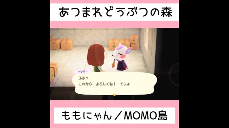 【あつ森】#23MOMO島へようこそ！！／#shorts   #あつまれどうぶつの森　#animalcrossingnewhorizons   #acnh   #동물의숲