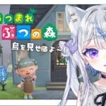 【あつ森】島クリ頑張ったから紹介したい！  /  リリィックスぬ島🐾【新人Vtuber / Lilly】