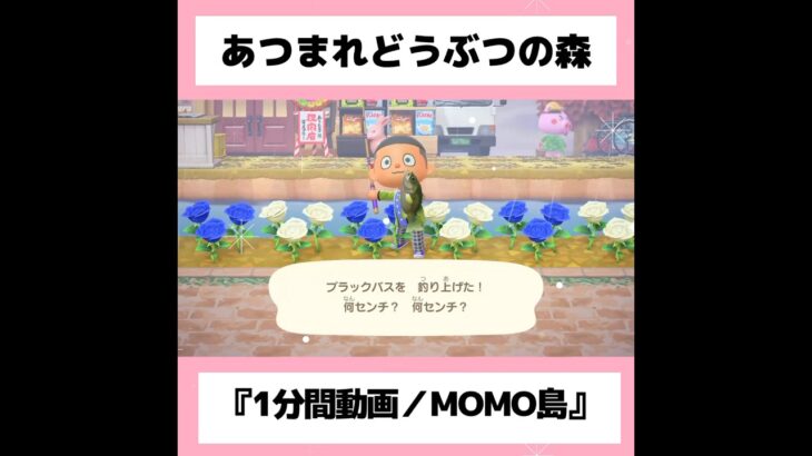 ◉【あつ森】What I like, when I like it『1分間動画』#31／#shorts   #あつまれどうぶつの森　#animalcrossingnewhorizons