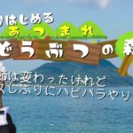 【あつまれ どうぶつの森】島クリ、虫取り、魚釣り、素潜りもやって…何か忘れているような…は…ハピパラ…？？？【あつ森】