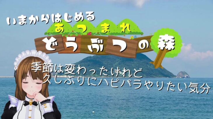 【あつまれ どうぶつの森】島クリ、虫取り、魚釣り、素潜りもやって…何か忘れているような…は…ハピパラ…？？？【あつ森】