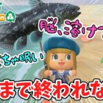 【あつ森】睡魔と闘いながらシーラカンスを釣る！！！【初心者実況】【あつまれどうぶつの森】