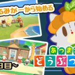 【あつまれどうぶつの森】のんびりあつ森！！島開発10日目【ハッピーホームパラダイス】