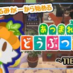 【あつまれどうぶつの森】のんびりあつ森！！島開発11日目【ハッピーホームパラダイス】