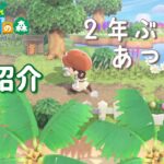 【あつまれどうぶつの森】2年振り！？ 島紹介します♪♪