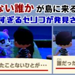 【あつ森】「知らない誰か」が島に来る…？ 怖すぎるセリフが発見される・・・「ゲーム序盤」に隠れた細かすぎる小ネタ集！【あつまれ どうぶつの森】@レウンGameTV