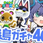 【あつ森】離島ガチャ４０連！～もんぺ捕獲の旅～【不夜ロクヤ #新人vtuber 】