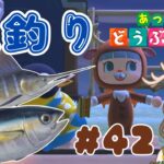 【あつ森2周目】マグロとカジキを釣りたい！！#42【初見さん大歓迎】#あつまれどうぶつの森 #ゲーム実況 #Vtuber #島クリエイター