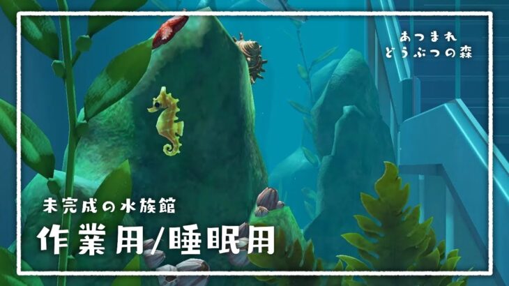 【 作業用/睡眠用 】25．あつ森　未完成の水族館2