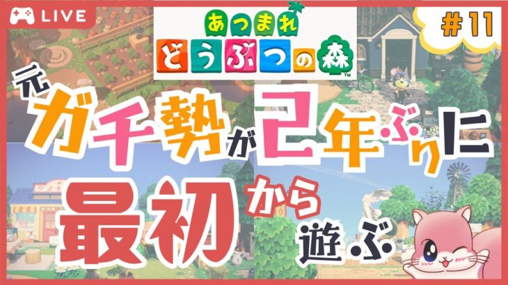 [🔴LIVE]ゲリラ配信⚡明日から離島ガチャをするので、今日は最後のキャンプ厳選をする⛺《あつまれどうぶつの森》#あつ森 #animalcrossing #のんびり時間