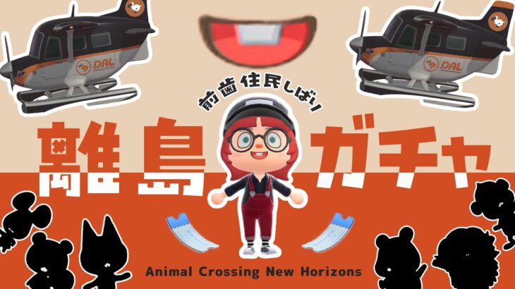 【あつ森】前歯がある住民を求めて離島ガチャ🛬｜#animalcrossing