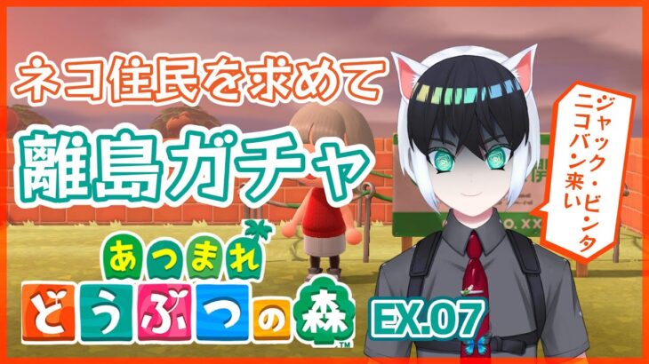 【あつまれどうぶつの森】ネコo可愛い男の子住民来い！【離島ガチャ配信】