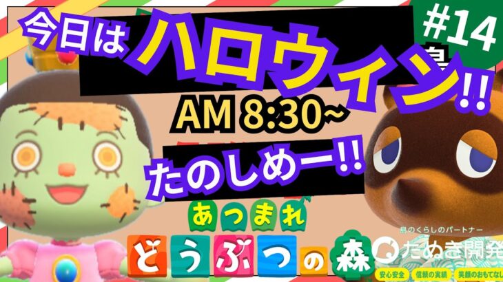 【＃１４】本気のクリスマス島クリやらないぞ！今日はハロウィンだ！！楽しめー！！マイデザ無し！あつ森史上最高傑作を作ったる！自然とおしゃれな住宅街を融合した素敵なクリスマス島の島クリ作業配信はこちら！！