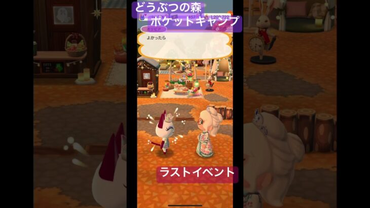 どうぶつの森ポケットキャンプ　ラストイベント #どうぶつの森 #あつまれどうぶつの森