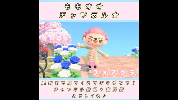 ◉【あつ森】#2ファッションチェックしてみた／#shorts   #あつまれどうぶつの森　#animalcrossingnewhorizons   #acnh   #동물의숲