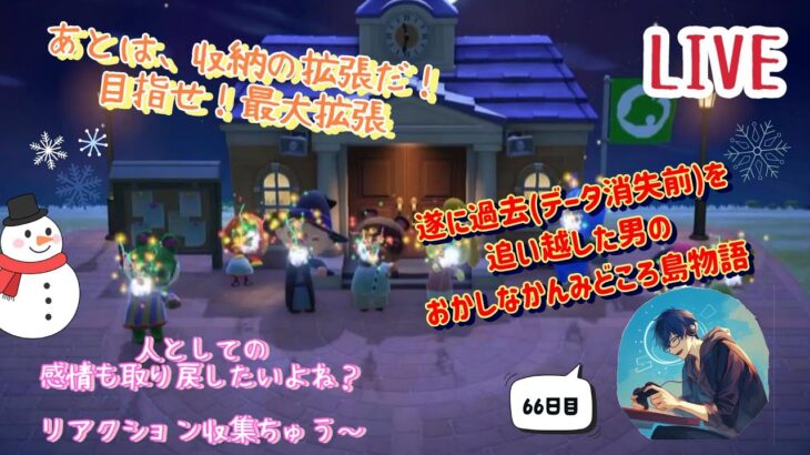 【あつまれどうぶつの森】最初から66日目　好きなものをちりばめて自分色に　12月収集品集めと感情を取り戻せ‼　#初見さんもごゆっくり #あつまれどうぶつの森 #ゲーム配信