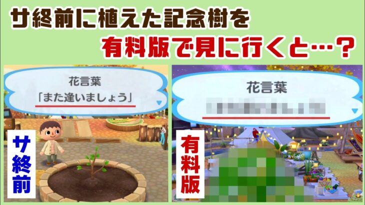 「ポケ森」サ終前に植えた記念樹を有料版で見に行くと……感動的すぎる演出が…！「ポケ森コンプリート」に隠れた細かすぎる小ネタ集！【どうぶつの森 ポケットキャンプ コンプリート】@レウンGameTV