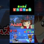 【あつまれ どうぶつの森】クリスマスイベントやってきまーす#ゲーム実況 #switch #あつ森 #どうぶつの森 #あつまれどうぶつの森 #shorts