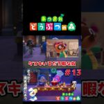 【あつまれ どうぶつの森】料理イベント！フランクリン登場！ #ゲーム実況 #switch #あつ森 #どうぶつの森 #あつまれどうぶつの森 #shorts