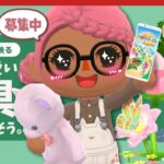 【ポケ森コンプ】どうぶつが可愛く映える特殊モーション家具を一緒に探そう！【どうぶつの森】