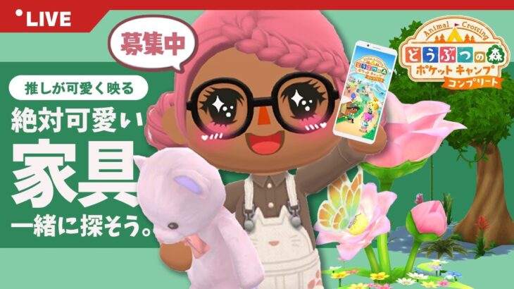 【ポケ森コンプ】どうぶつが可愛く映える特殊モーション家具を一緒に探そう！【どうぶつの森】