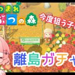 【あつまれどうぶつの森】離島ガチャ！新たな住民さん探しの旅へ出発！【あつ森】＃３５