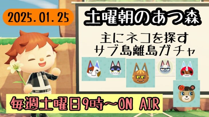 【あつ森配信】半年ぶりサブ島離島ガチャ～土曜朝のあつ森タイム 2025.01.25～