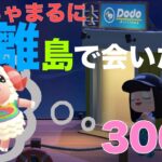 【＃あつまれどうぶつの森】チャンネル登録300人企画第3弾！ちゃちゃまるに会いたい離島ガチャ300連！【初見歓迎】【＃VTuber】