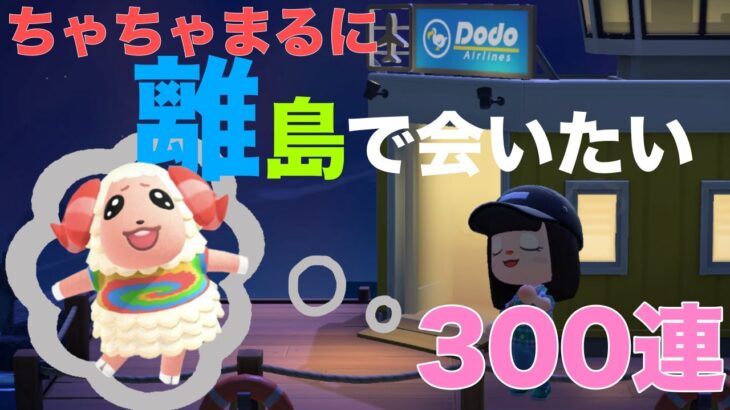 【＃あつまれどうぶつの森】チャンネル登録300人企画第3弾！ちゃちゃまるに会いたい離島ガチャ300連！【初見歓迎】【＃VTuber】