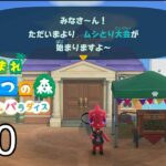 【あつ森ハピパラ】ほしのかけらプレゼント、希望者は島に招待します＆夢番地をコメントで、島の招待パスワードはXのDMで送ってくれたら行きます【あつまれどうぶつの森ハッピーホームパラダイス】ネタバレ注意