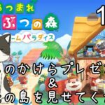 【あつ森ハピパラ】ほしのかけらプレゼント、希望者は島に招待します＆夢番地をコメントで、島の招待パスワードはXのDMで送ってくれたら見に行きま【あつまれどうぶつの森ハッピーホームパラダイス】ネタバレ注意