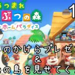 【あつ森ハピパラ】ほしのかけらプレゼント、希望者は島に招待します＆夢番地をコメントで、島の招待パスワードはXのDMで送ってくれたら見に行きま【あつまれどうぶつの森ハッピーホームパラダイス】ネタバレ注意