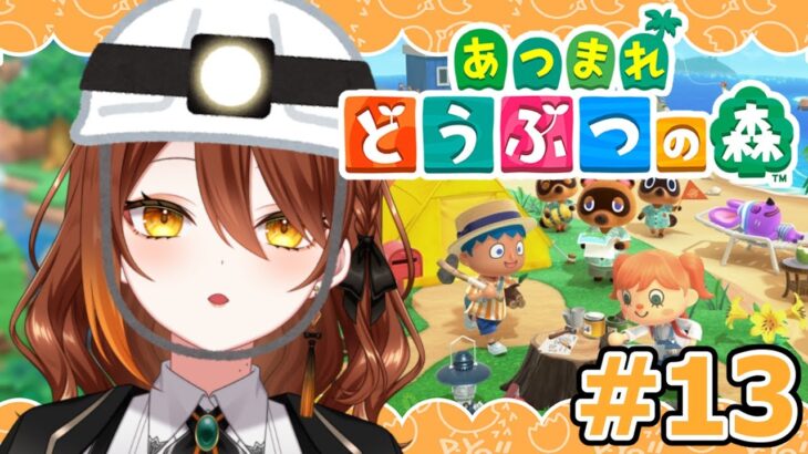 【#あつまれどうぶつの森】日曜大工。島クリエイト【animalcrossing】