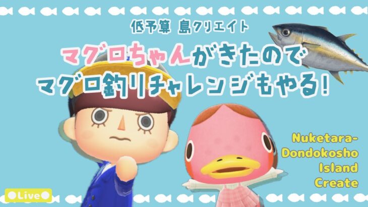 【あつ森 | ライブ】マグロちゃんがきたのでマグロ釣りチャレンジもやる！【低予算島クリエイト | ぬけたらどんどこしょ島】＃２０