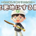 【あつ森】崖を崩して島リセット！新しい島クリに向けて更地にする配信！【あつまれ どうぶつの森】