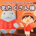 【あつ森】緊急ポキ稼ぎします！久しぶりのハピパラ配信！【あつまれ どうぶつの森】