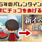 【あつ森】2025年のバレンタインに新展開！？チョコを渡すと新たなイベント発生！「バレンタインデー」に隠れた細かすぎる小ネタ集！【あつまれ どうぶつの森】@レウンGameTV