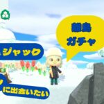 【あつ森】離島ガチャ20連。ジュン、ジャック、リリアンに出会えますように！　ばぁば新たな島づくり＃44