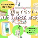 【ポケ森コンプリート】3月新クッキー情報&イベント家具詳細&おすすめ家具ご紹介！