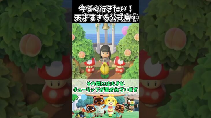 【あつ森】今すぐ行きたい！天才すぎる公式島① #あつまれどうぶつの森 #animalcrossing  #小ネタ