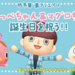 【あつ森 | ライブ】のりっぺちゃん＆マグロちゃんの誕生日を祝う！！【低予算島クリエイト | ぬけたらどんどこしょ島】＃２２