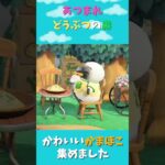 【あつ森】かわいいかまぼこを眺める時間🌿🍃#あつ森#あつ森BGM #勉強用BGM #作業用bgm #睡眠用bgm