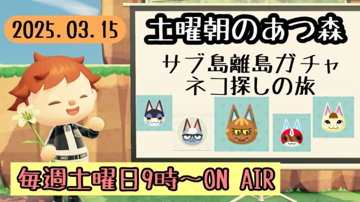 【あつ森配信】ネコ探しのサブ島離島ガチャ～土曜朝のあつ森タイム 2025.03.15～