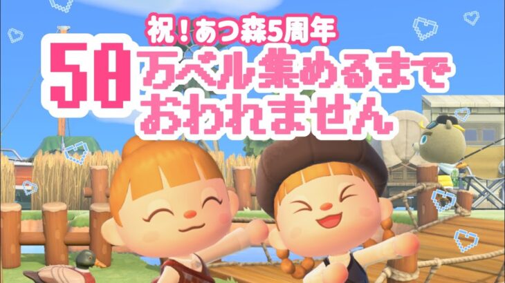 祝！あつ森５周年！50万ベル集めるまで終われません！【あつまれどうぶつの森】